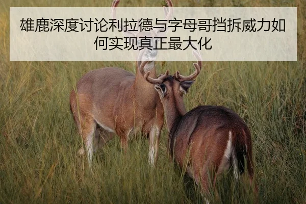 雄鹿深度讨论利拉德与字母哥挡拆威力如何实现真正最大化