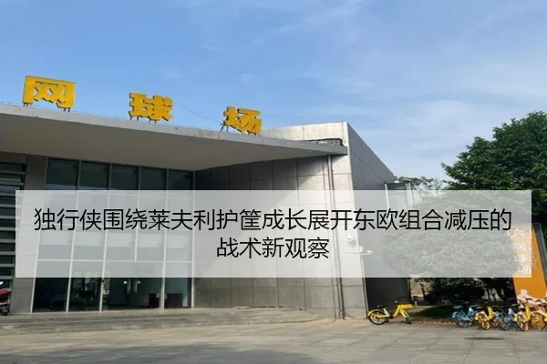 独行侠围绕莱夫利护筐成长展开东欧组合减压的战术新观察